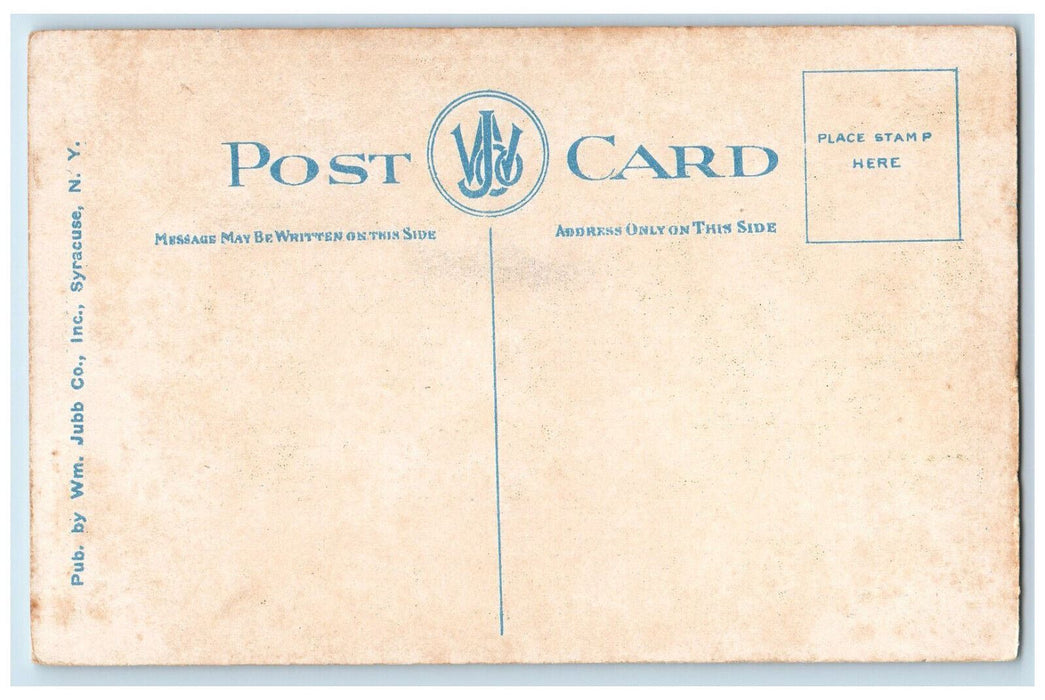 c1920's Business Section By Moonlight Syracuse New York NY Unposted Postcard