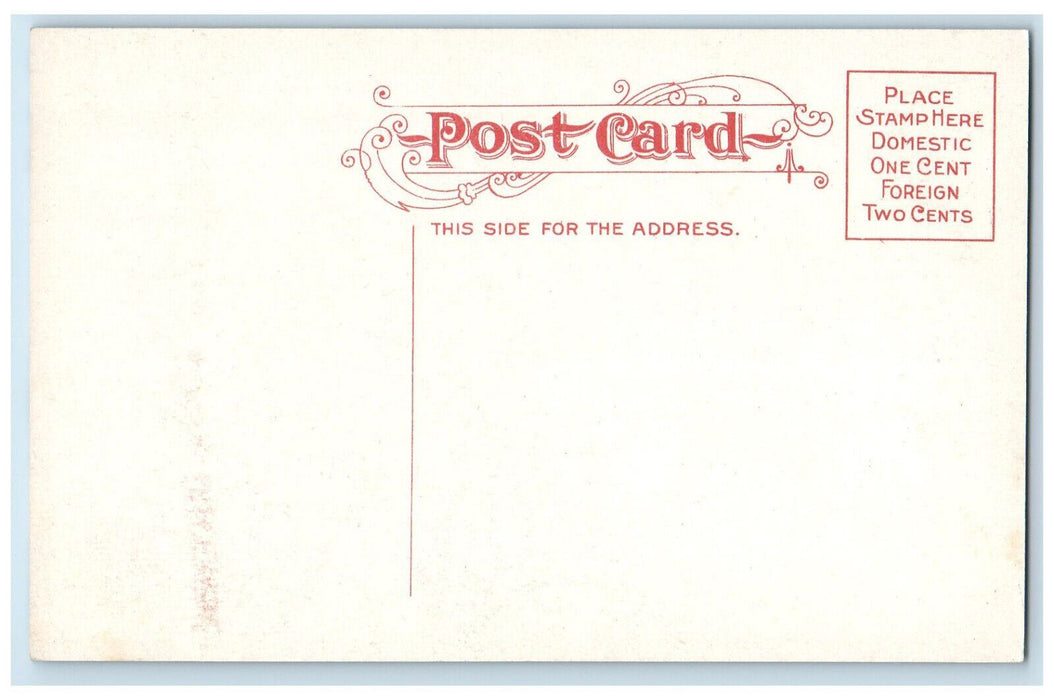 c1910 Hall of Natural History Syracuse University Syracuse NY Unposted Postcard