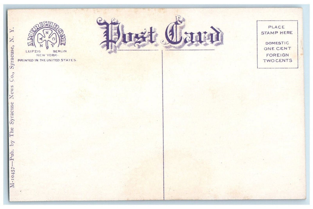 c1910 College of Medicine Syracuse University Syracuse NY Unposted Postcard