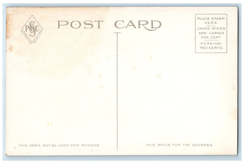 c1910 Grand Stand Stadium and Gymnasium University of Syracuse NY Postcard