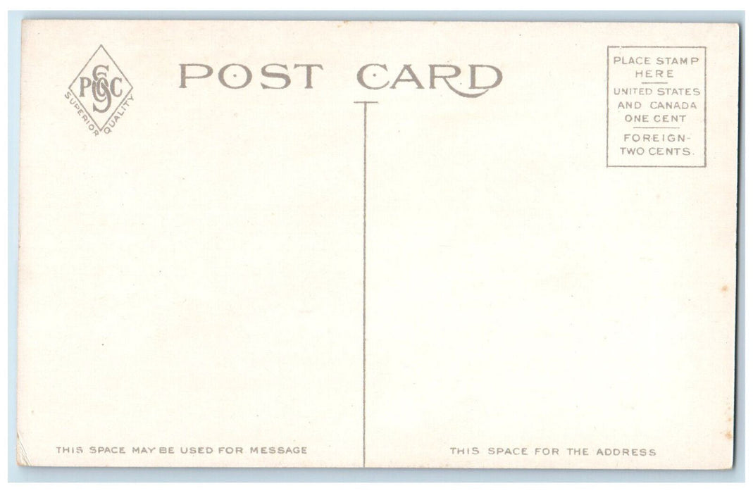 c1910 Sims Hall Syracuse University Syracuse New York NY Antique Postcard