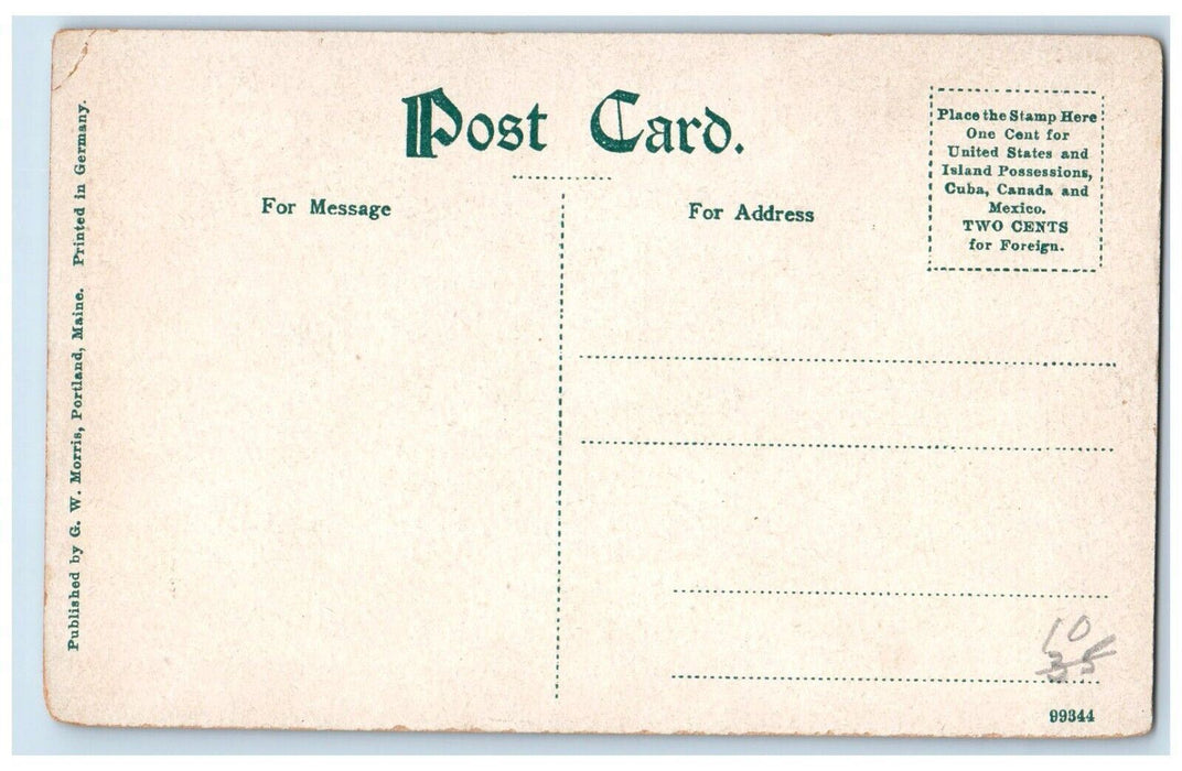 Echo Lake Profile House Trees Dirt Road Scene New Hampshire NH Vintage Postcard