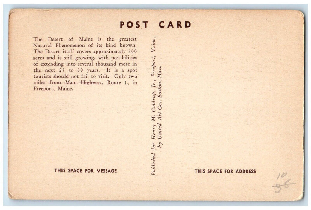 Desert Of Maine Freeport Showing Section Forest Buried By Sand ME Postcard
