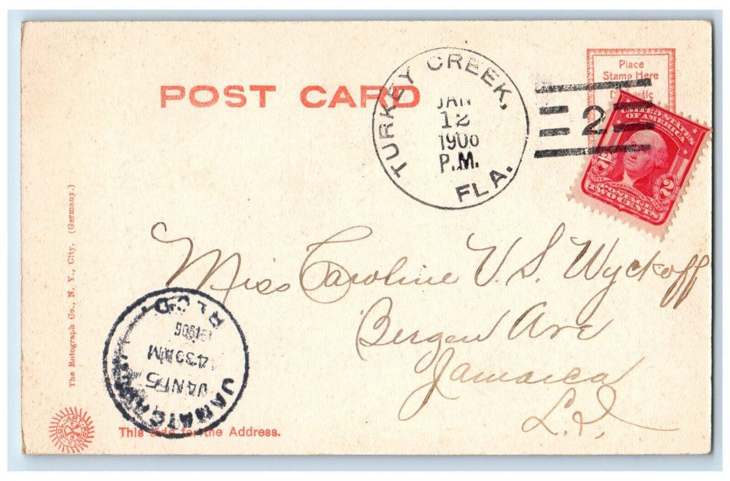 1906 Ostriches And Nest At An Ostrich Farm Turkey Creek Florida FL Postcard