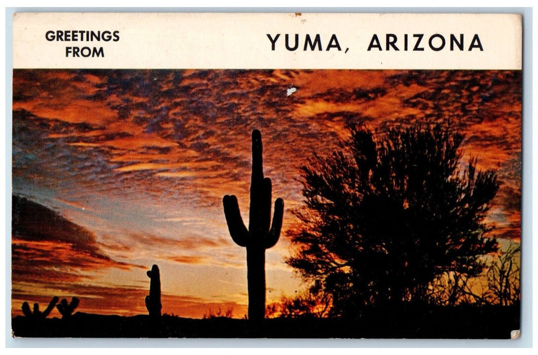 Greetings from Sunset Desert Scene Yuma Arizona Vintage Unposted Postcard