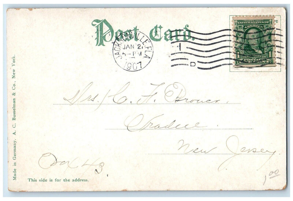 1907 Bay St. West Of Laura Horse Carriage Scene Jacksonville Florida FL Postcard