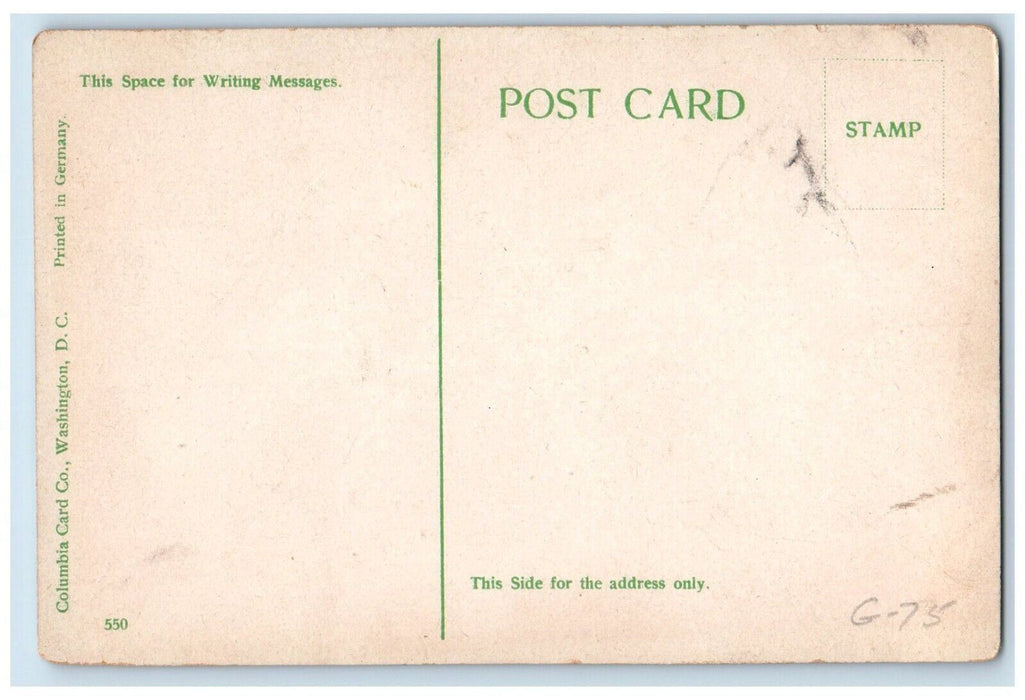 c1910's Fountain Congressional Library Washington DC WA Antique Postcard