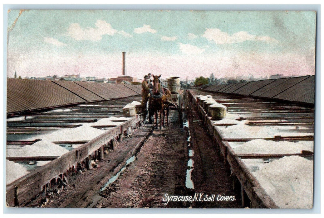 c1905 Salt Covers Horse Carrying Salt Syracuse New York NY Antique Postcard