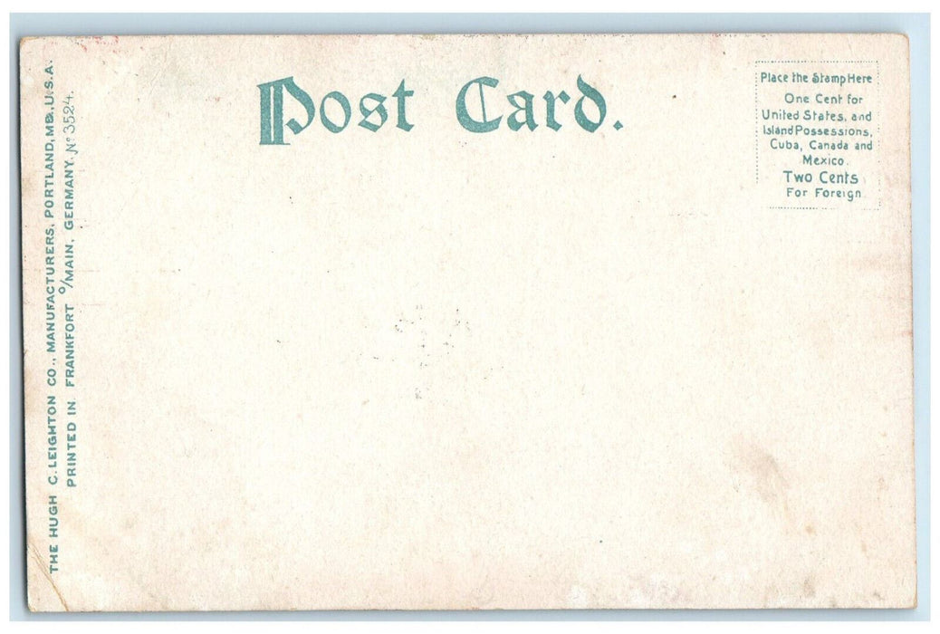 c1905 Salt Covers Horse Carrying Salt Syracuse New York NY Antique Postcard