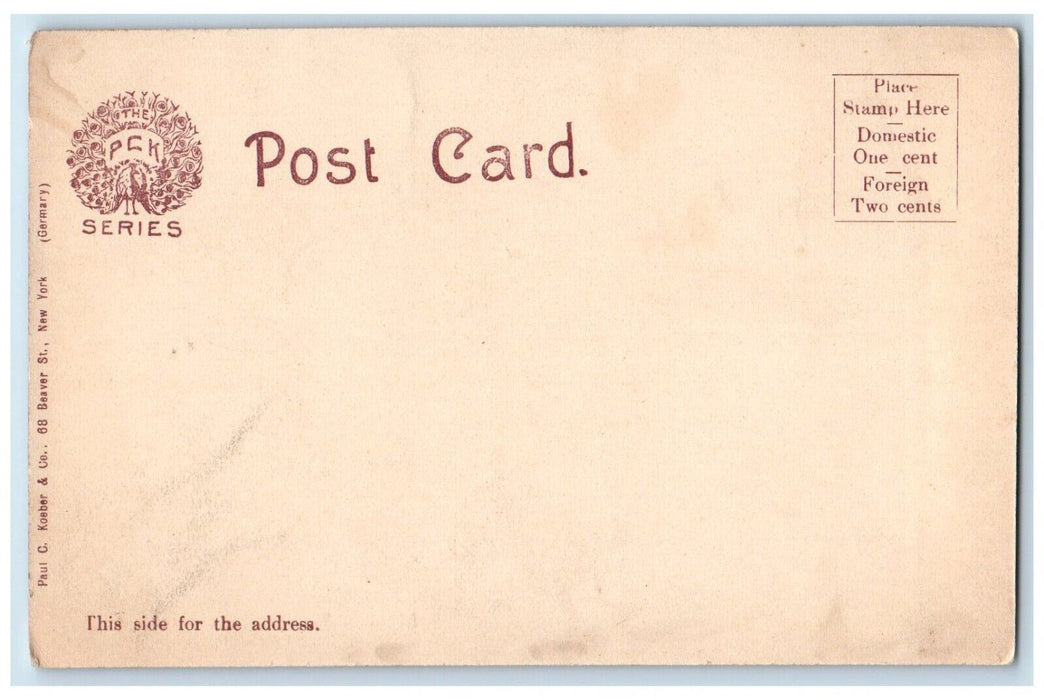 c1905 Masonic Temple Lake Street Exterior Building Elmira New York PCK Postcard