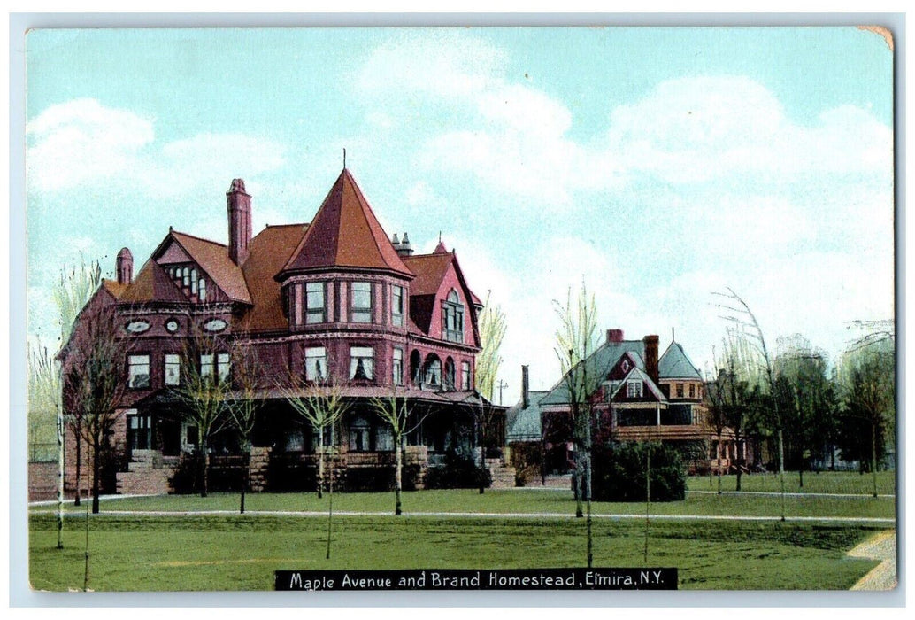 c1910 Maple Avenue Brand Homestead Exterior Mansion Elmira New York NY Postcard