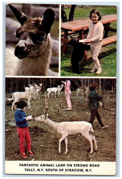 c1960's Fantastic Animal Land Tully NY South of Syracuse Multiview Postcard