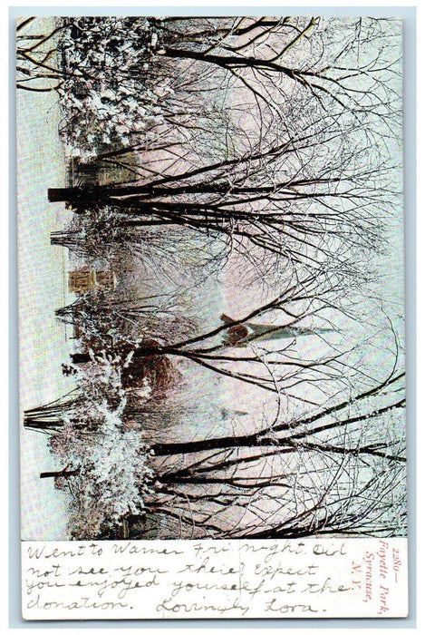1909 Snow Scene Fayette Park Syracuse New York NY Antique Posted Postcard