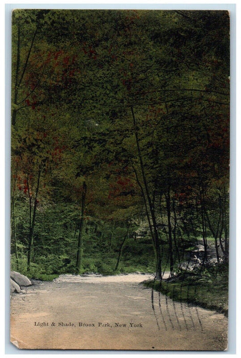 1908 Light & Shade Bronx Park River Nature Scene New York NY Antique Postcard