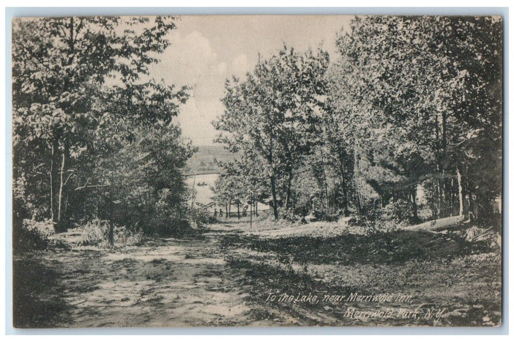 1910 To The Lake Near Merriwold Inn Park New York Monticello NY Antique Postcard