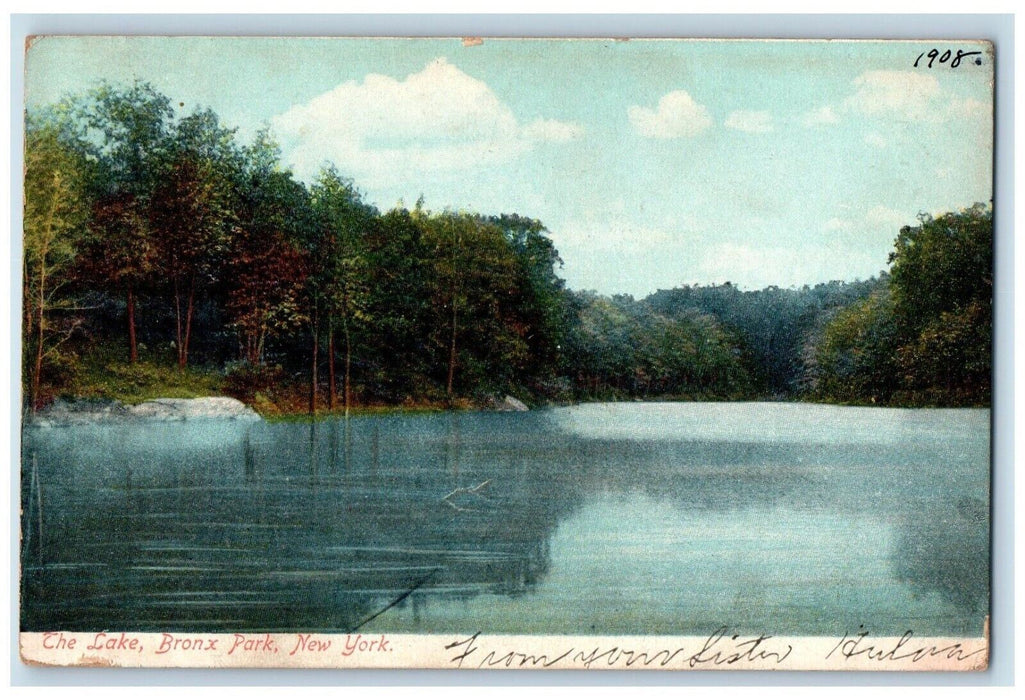 1908 The Lake Bronx Park Trees Nature Scene New York NY Antique Postcard