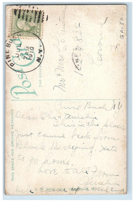 1919 Cliff Rock Sam's Point Nature Scene Pine Bush New York NY Antique Postcard