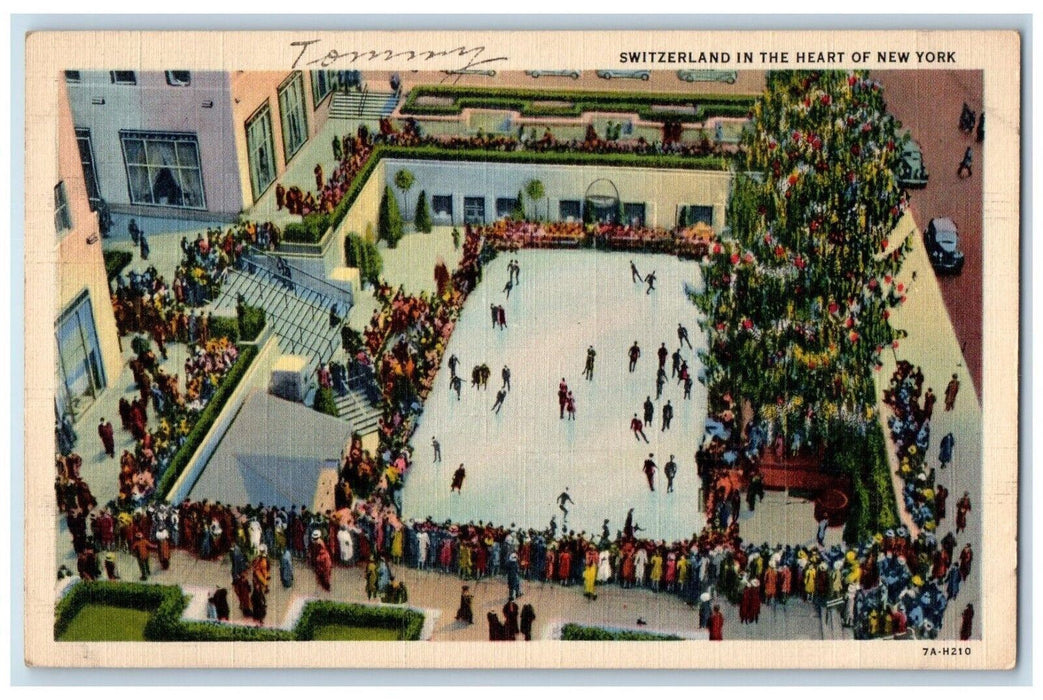 View Of Switzerland In The Heart Of New York Skating Pond NY Vintage Postcard