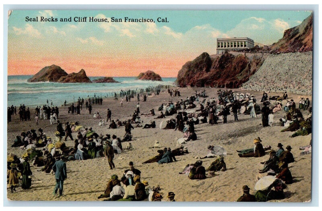 Seal Rocks And Cliff House Beach Scene San Francisco California CA Postcard