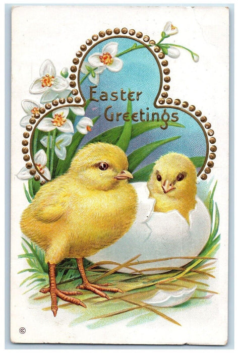 c1910's Easter Chicks Hatched Egg White Flowers Embossed Antique Postcard