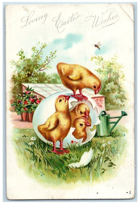 c1910's Easter Wishes Hatched Egg Chicks Embossed Tuck's Posted Antique Postcard