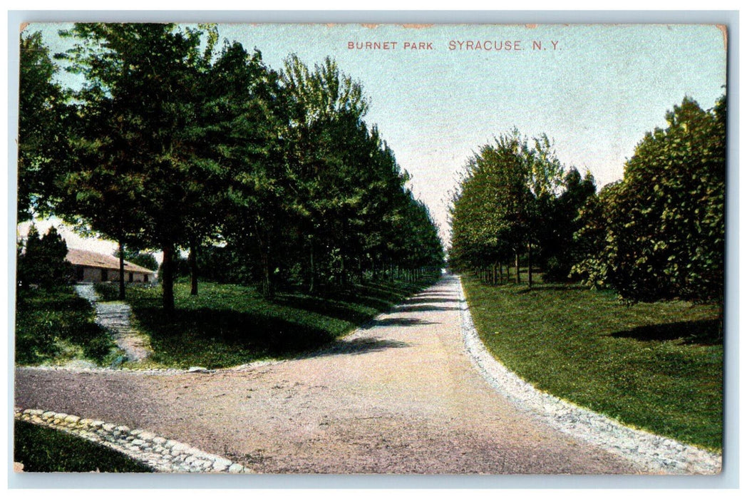 1907 Burnet Park Syracuse New York NY Antique Robbins Bros Postcard