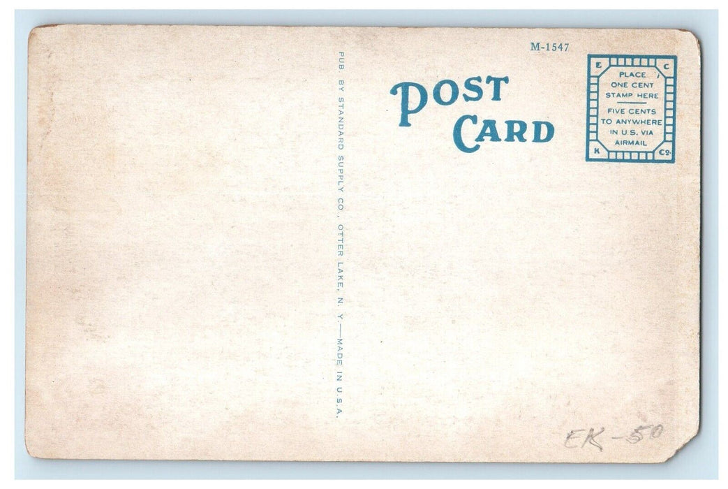 c1920's Twin Pines Camp Otter Lake NY Adirondack Mountains New York Postcard