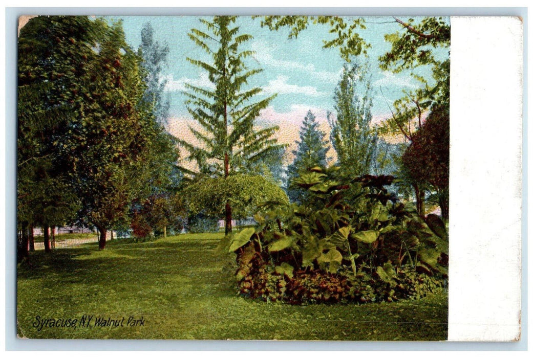 1909 Walnut Park Syracuse NY Antique Posted Hugh C Leighton Co. Postcard