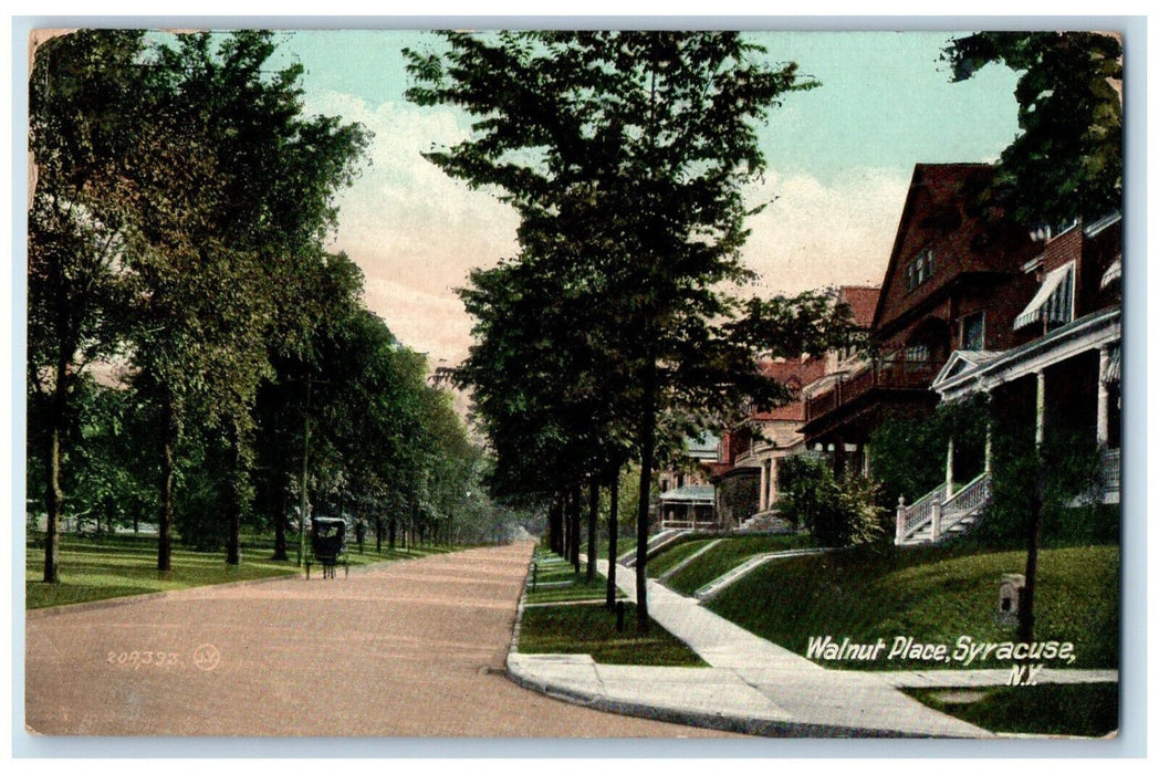 1908 Walnut Place Syracuse New York NY Posted Antique Souvenir Postcard