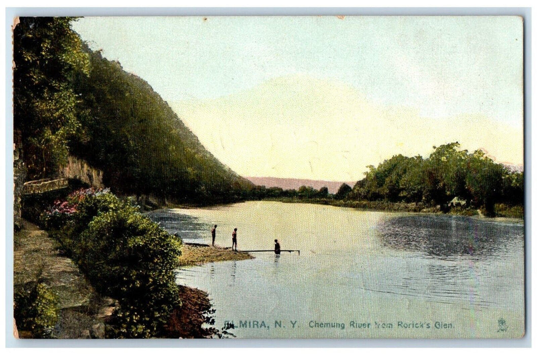 1908 Chemung River From Roricks Mountain Trees Glen Elmira New York NY Postcard