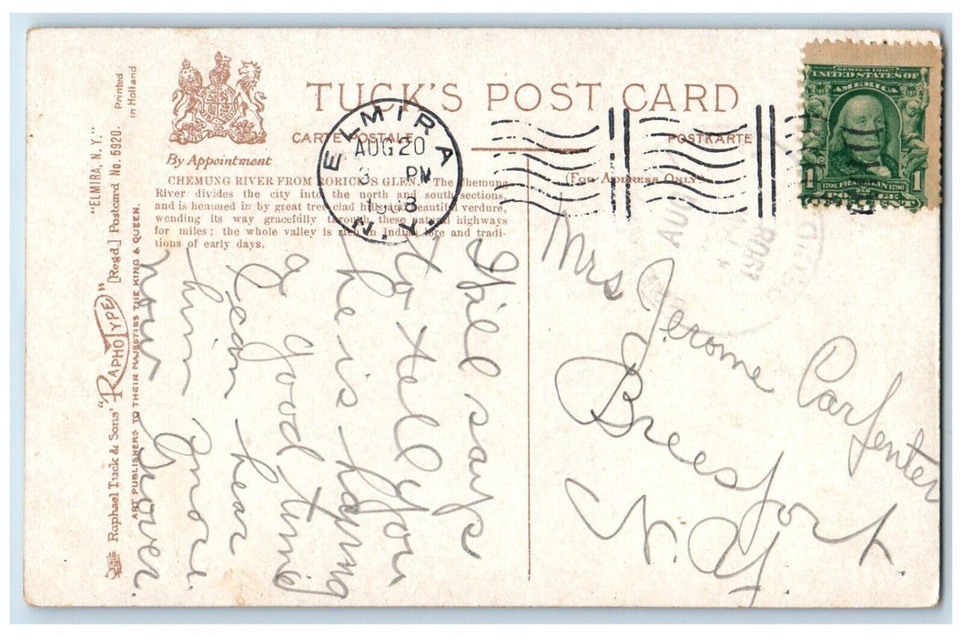 1908 Chemung River From Roricks Mountain Trees Glen Elmira New York NY Postcard