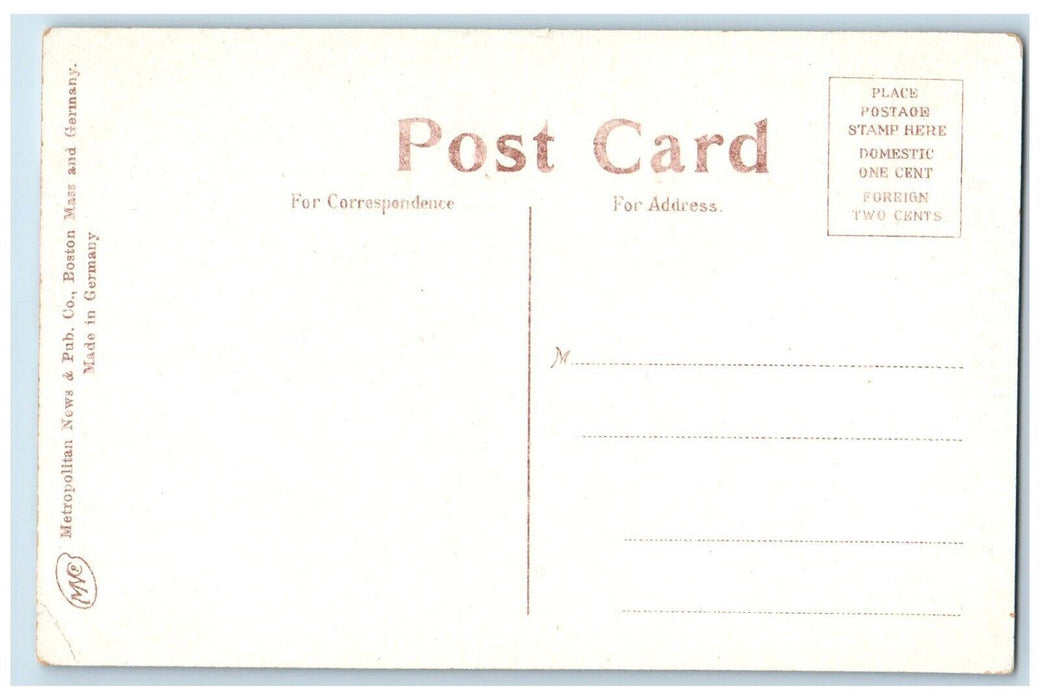 c1910 View Near Mountain House Chenning River Exterior Elmira New York Postcard