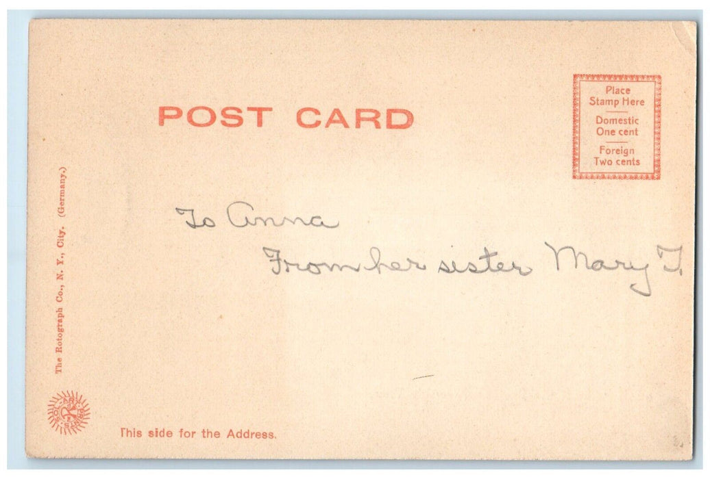 c1905 Shoot The Shutes Riverside View River Lake Boats Elmira New York Postcard