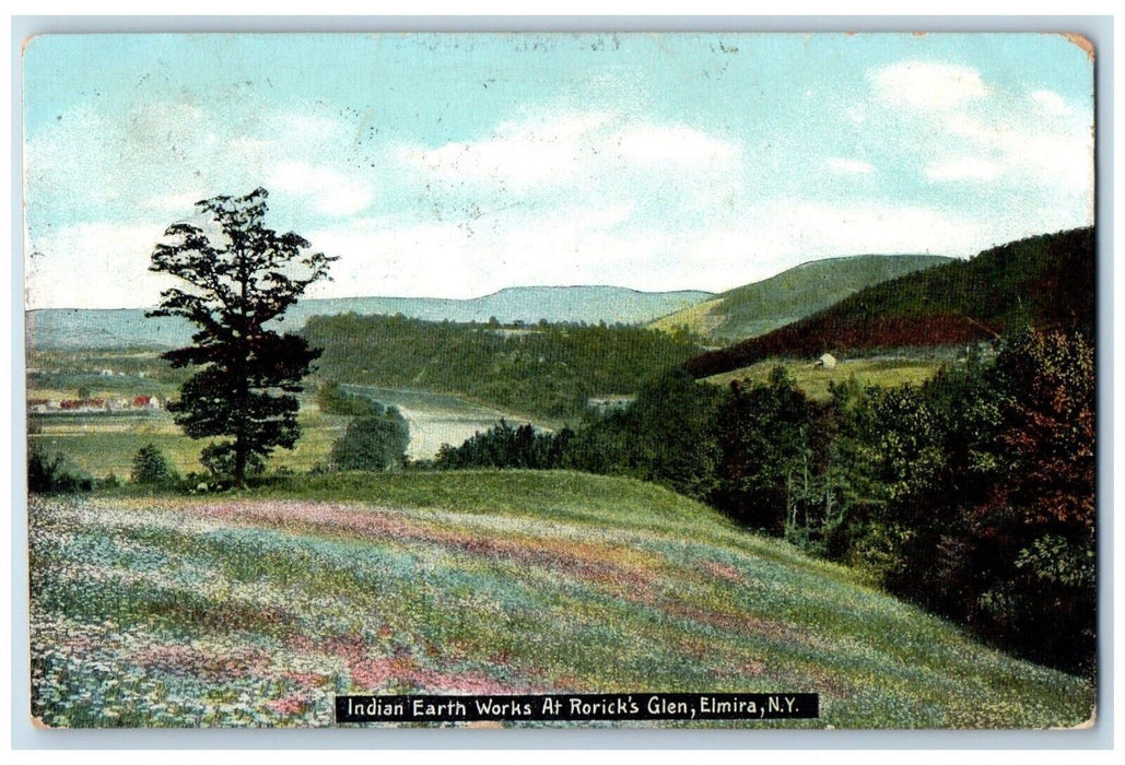 1908 Indian Earth Works Roricks Glen Mountain Flowers Elmira New York Postcard