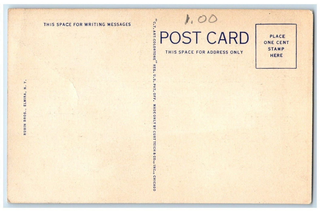c1940 Water Street Looking East Streetcar Trolley Store Elmira New York Postcard