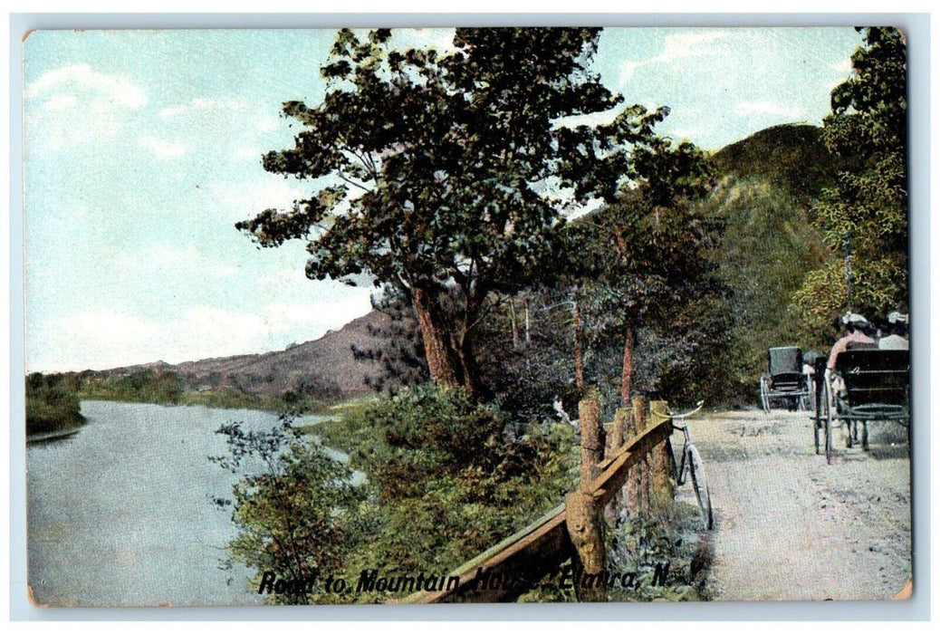 c1910 Road to Mountain House Horse Carriage Road Bike Elmira New York Postcard