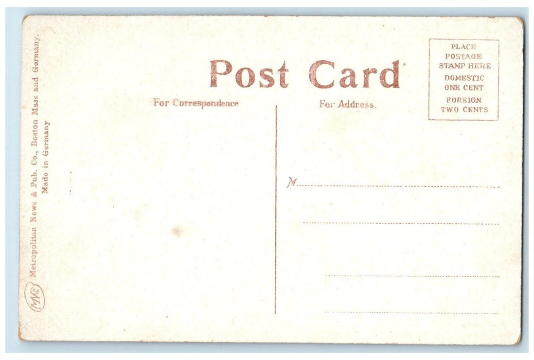 c1910 Road to Mountain House Horse Carriage Road Bike Elmira New York Postcard