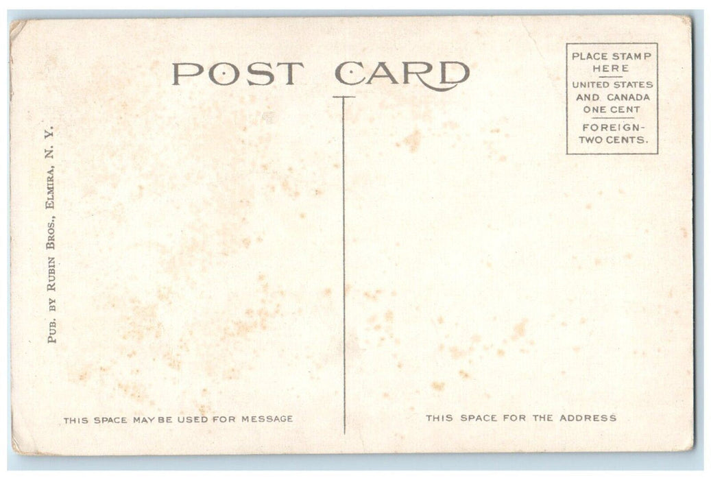 c1910 West Water Street Streetcar Trolley Building Elmira New York NY Postcard