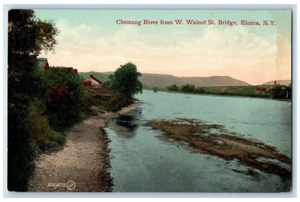 1909 Chemung River From W. Walnut St. Bridge Elmira New York Postcard