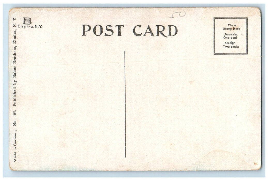 c1910 Water Toboggan At Fitches Bridge Slide Swimming Elmira New York Postcard