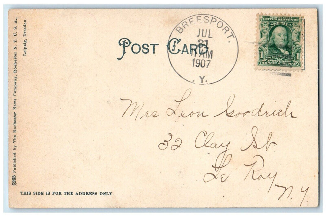 1907 Birds Eye View Bridge River Lake Field Elmira New York East Hill Postcard