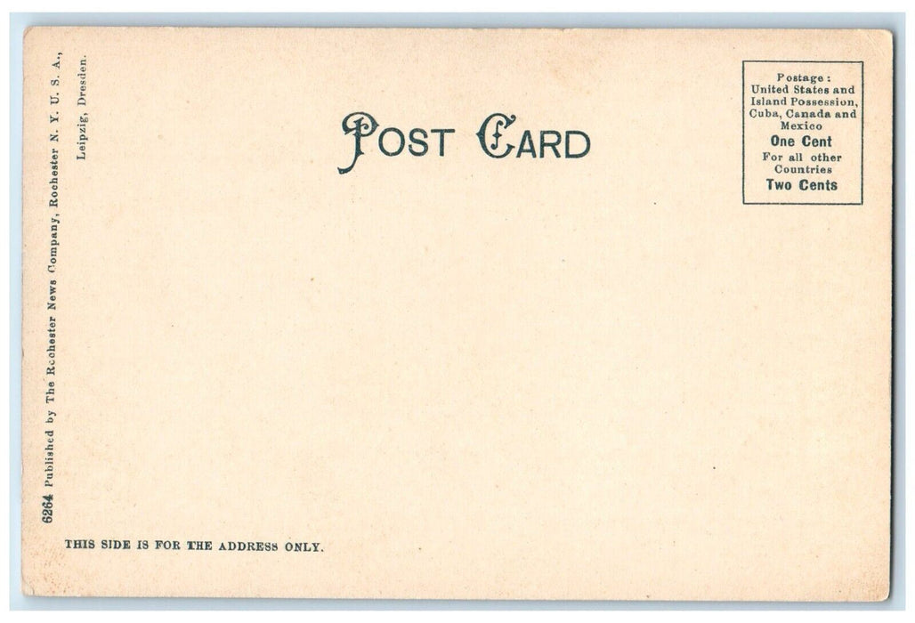 c1905 Birds Eye View River Lake City Town Elmira New York NY Mount Zoar Postcard