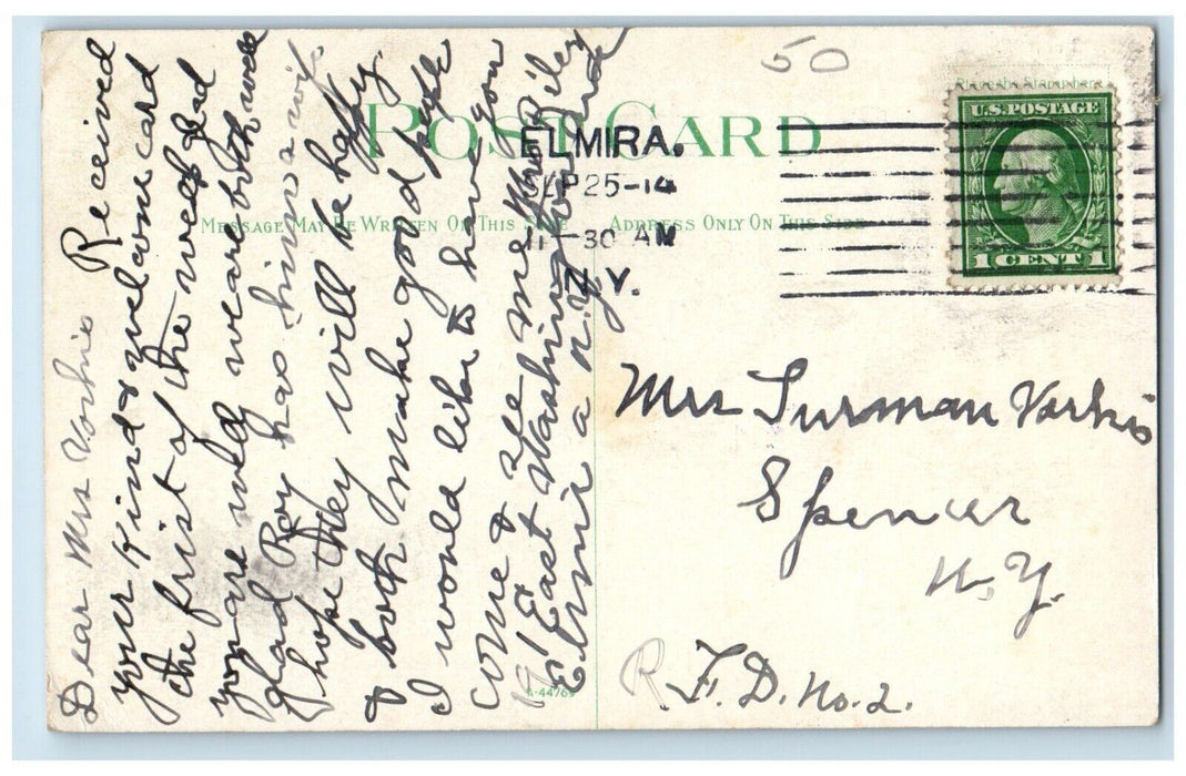 c1914 Wisner Park Children Playing Scene Gazebo Benches Elmira New York Postcard