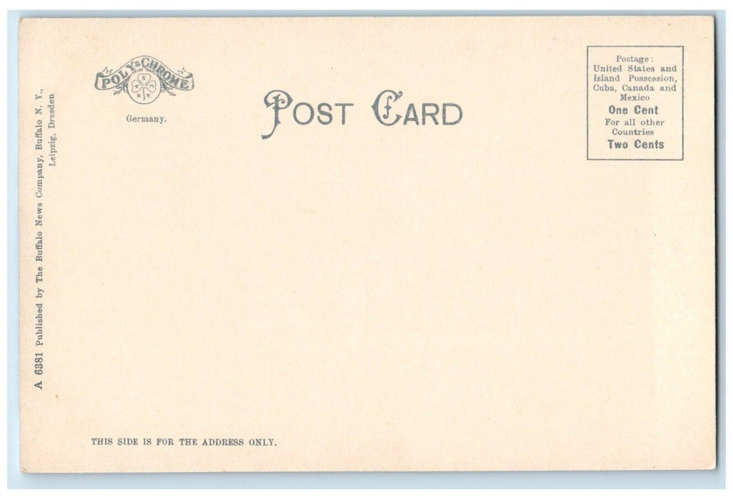 c1905 Eldridge Park House Exterior Bridge People Scene Elmira New York Postcard