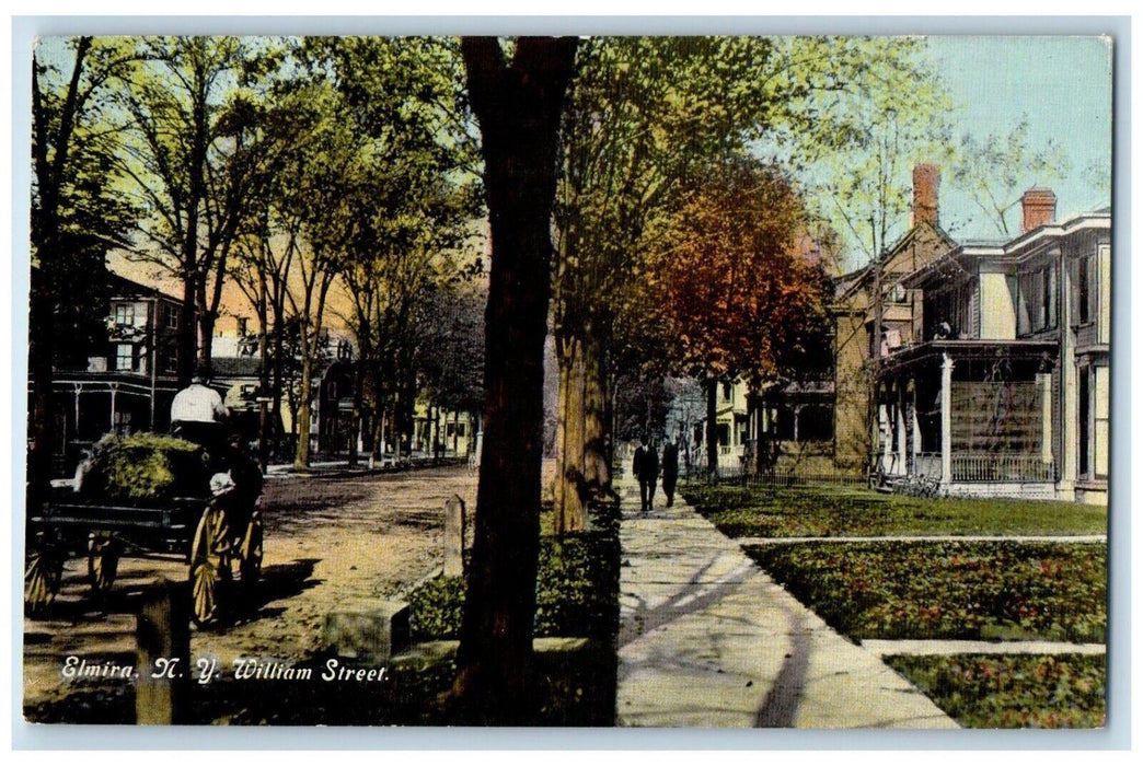 c1910 William Street Horse Carriage Road Trees Pathway Elmira New York Postcard
