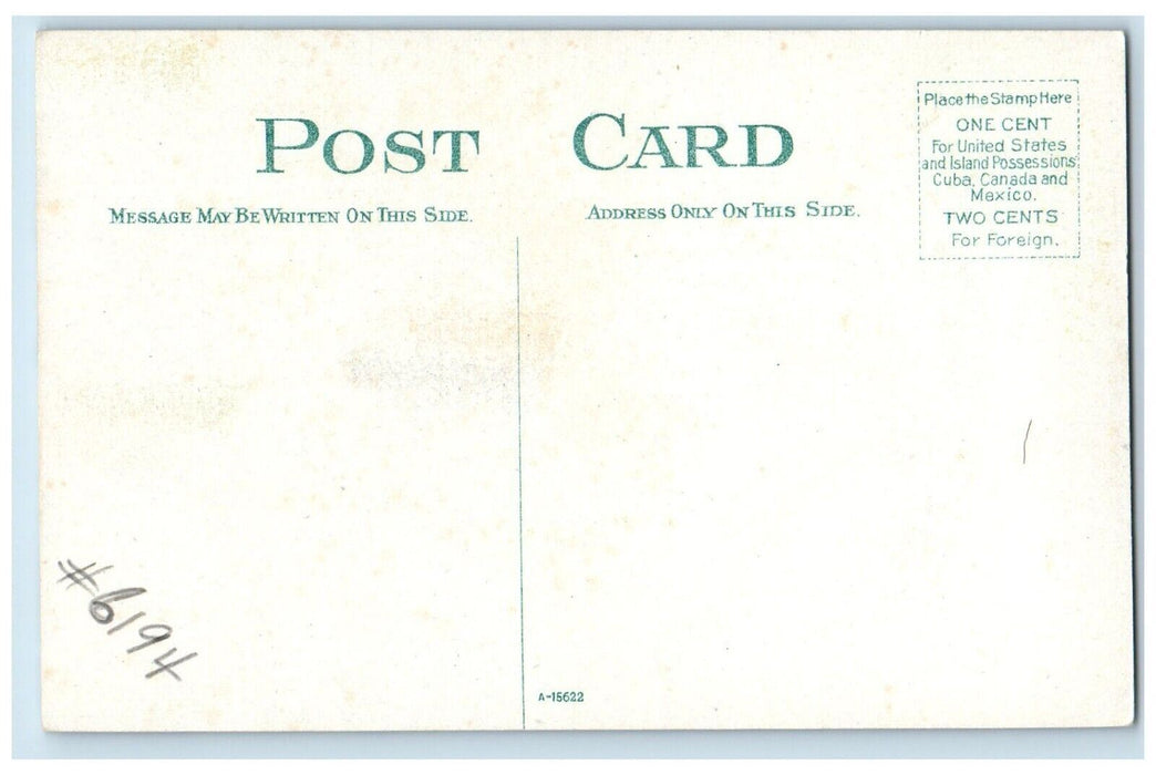 c1910 William Street Horse Carriage Road Trees Pathway Elmira New York Postcard
