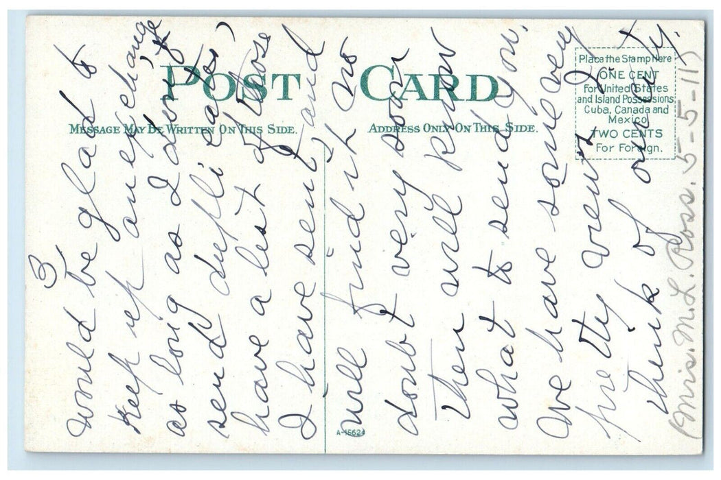 c1910 West Water Street Exterior Railway Trolley Road Elmira New York Postcard