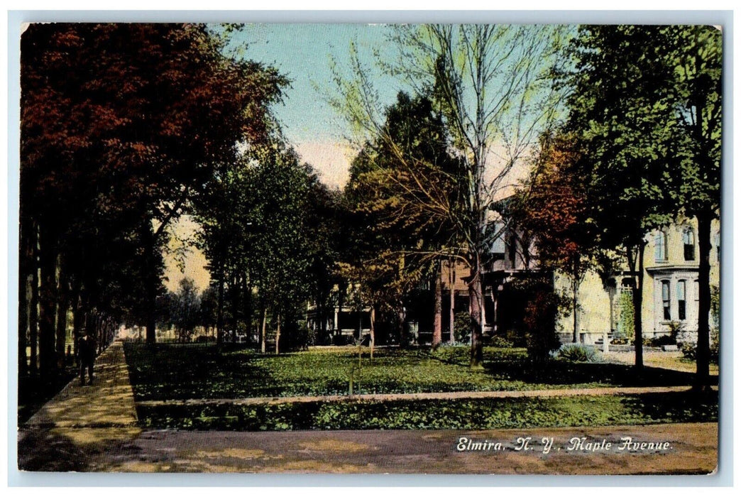 c1910 Maple Avenue Exterior Garden Field Trees Pathway Elmira New York Postcard