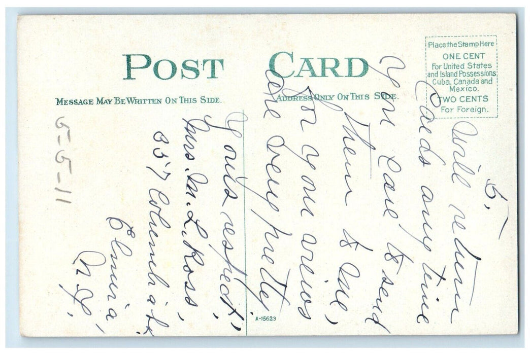 c1910 Maple Avenue Exterior Garden Field Trees Pathway Elmira New York Postcard