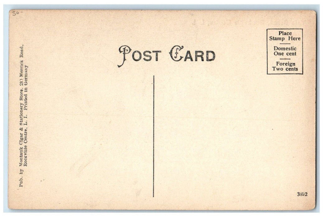 c1910's Yale Place Houses Rockville Centre Long Island New York NY Postcard
